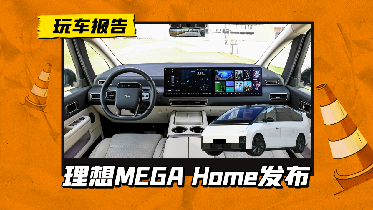 תMEGA Homeͥ淢״ͼݸоƬ