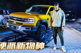 硬派新物种！28.98万起，方程豹豹5能否成为下一个越野爆款？