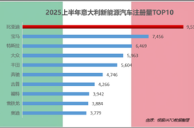 2025上半年比亚迪领跑全球多个新能源汽车市场