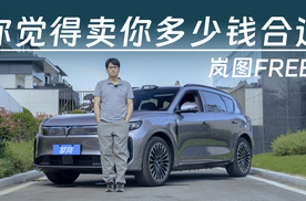 操控不错，配置堆满，你觉得岚图FREE+定价会在多少？