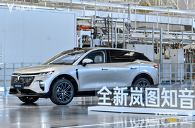 统统配齐22万元起，“华系纯电SUV”岚图知音预售开启