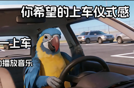 谁家好人车机这么颠啊！想象中的上车仪式感 vs 实际上车体验