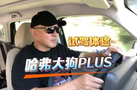 适合家用的一款泛越野SUV，哈弗大狗PLUS试驾体验