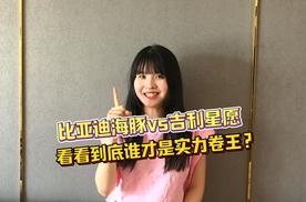 比亚迪海豚 vs吉利星愿，看看到底谁才是实力卷王？