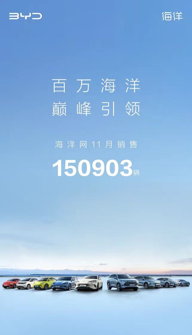 海洋网全面发力，迅速崛起
