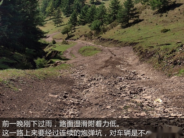 图片8.jpg