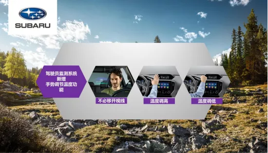 以实力，驭澎湃！武汉区域新森林人上市发布会圆满落幕！