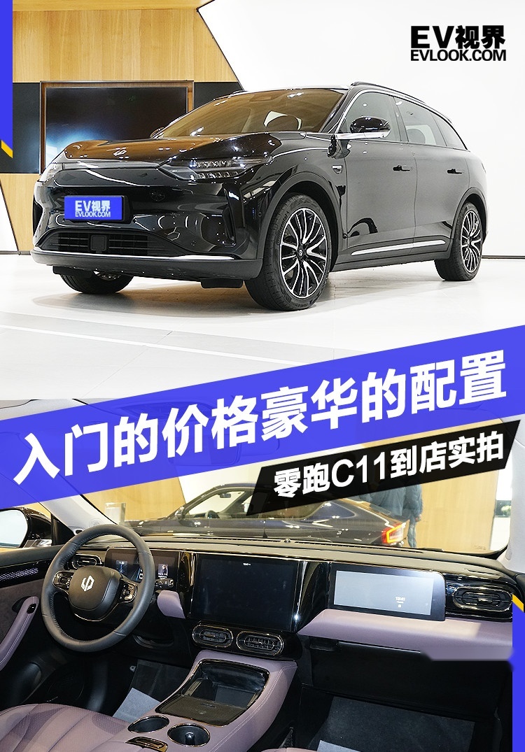 不到20万，配置不输Model Y，零跑C11在做赔本买卖？