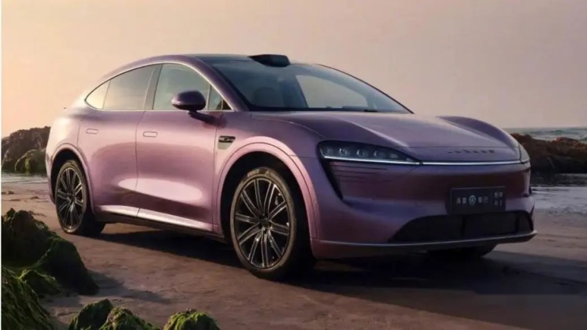 「围攻」Model Y，自主品牌吹响集结号？