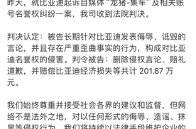 法院裁定：“龙猪-集车”自媒体因诋毁比亚迪被判赔201.87万元!