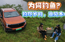 为何钓鱼？钓尽岁月，渔见本心