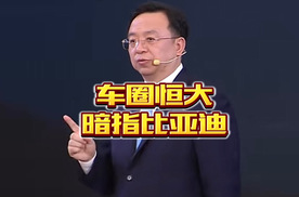 谁是车圈恒大，比亚迪被暗指，李云飞做出回应