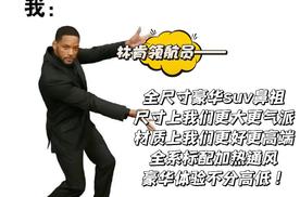 谁说没有完美？林肯领航员：请你看看我！