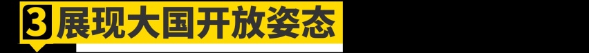 中国为什么要拯救美国特斯拉？