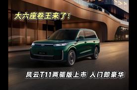 大六座卷王来了！风云T11两驱版上市，入门即豪华！