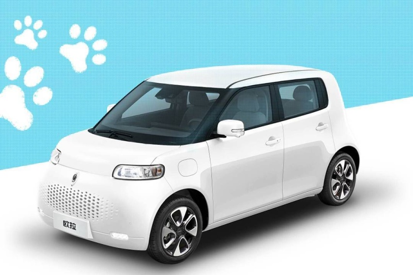 到底欧拉什么猫？欧拉全新电动车7月4日公布命名
