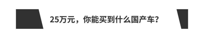 如果你有25万元，你会买国产车吗？