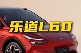 蔚来新车 乐道L60值得购入吗？