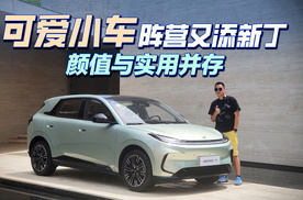 “可爱小车”阵营又添新军，颜值与实用并存？