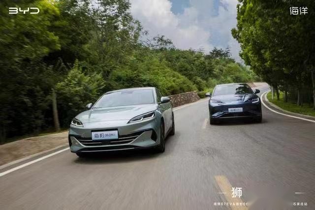 狮力豹发 海狮07EV 海豹06 DM-i驾享体验石家庄站