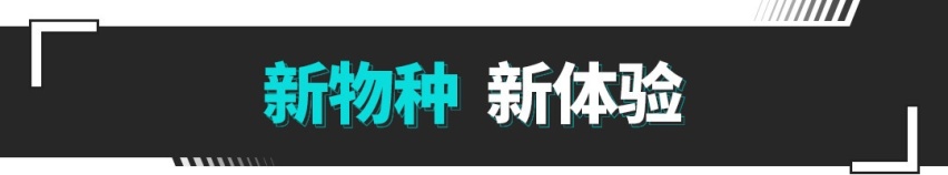 尺寸堪比D级车 顶配80万 数千人下订！体验比劳斯莱斯还爽