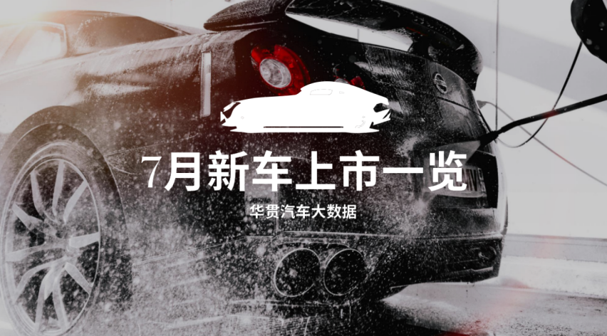 云+丨2024年7月新车上市一览