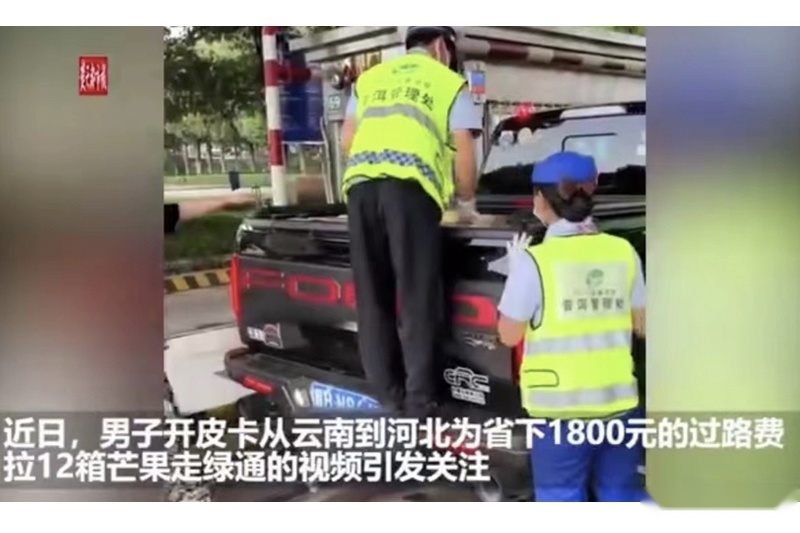 天天都能免费走高速，盘点那些皮卡薅绿通羊毛的注意事项