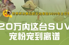 【乐阳频道】世界杯决赛后欧文给昊铂S600车主交车？