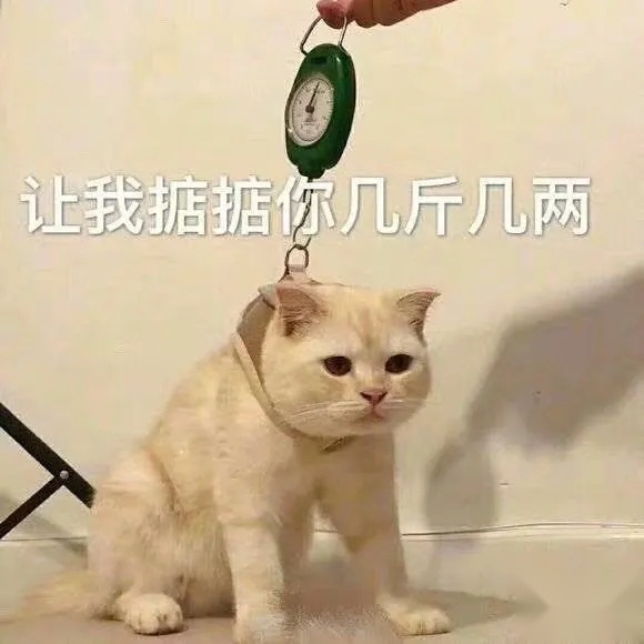 20万预算买合资SUV，这几款真不能错过！