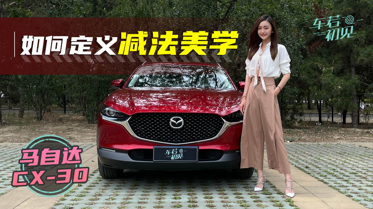 ζѧ ԼݳԴCX-30