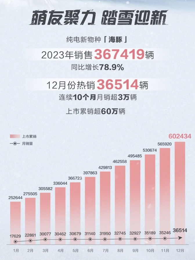 全年热销，比亚迪海豚获得2023年A0市场级销冠