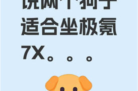 DeepSeek说两个狗子适合坐极氪7X...