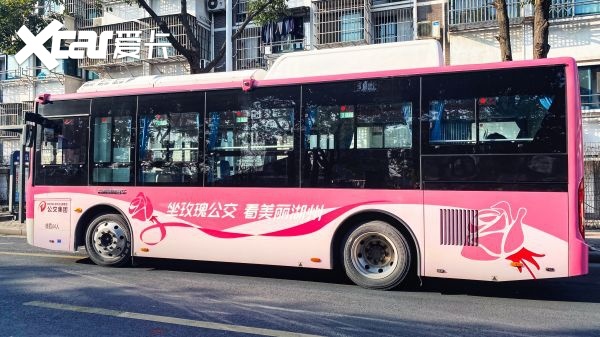 星际跃入湖州,璀璨那一抹玫瑰红