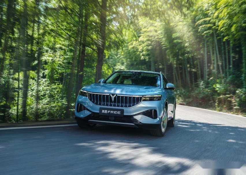 30万级SUV“天花板”，岚图FREE拥有德系豪车驾控，还补贴3万