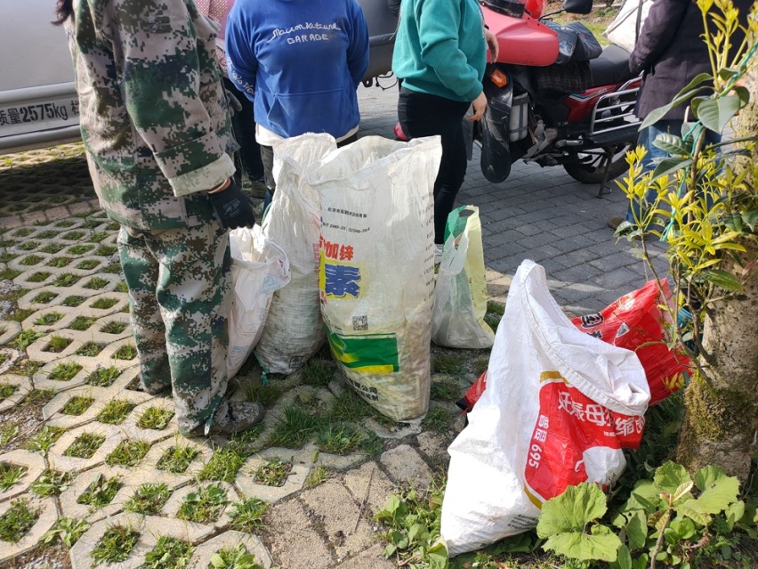 武陵山南天门看日出日落，森林步道路漫步吸氧，重庆避暑好去处！