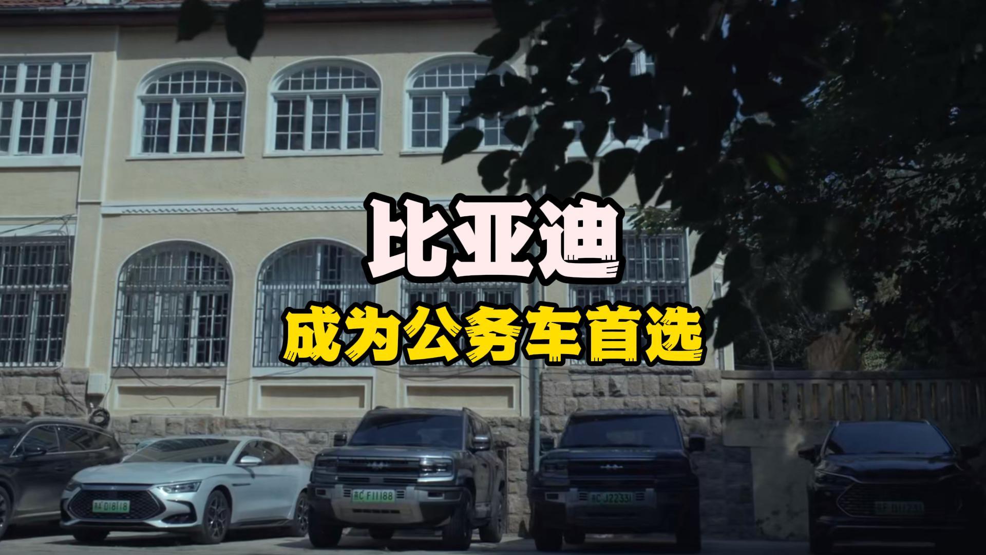 �����԰����г������ǵϳ�Ϊ������ѡ