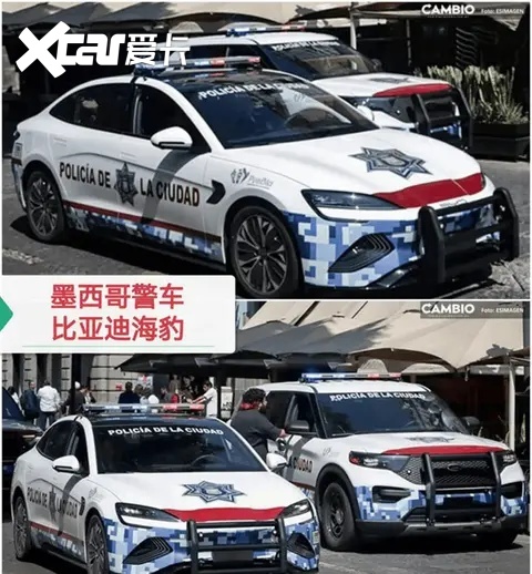 从“走出去”到“走进去” 比亚迪驶入多国政府车队意味着什么？