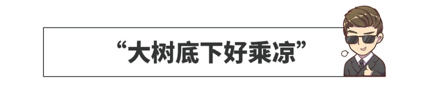 9月SUV销量榜！大众新车上市不到一年，拿下第二！