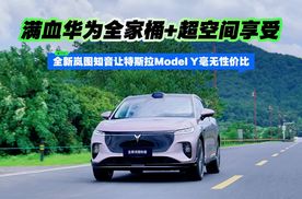 全新岚图知音让特斯拉Model Y毫无性价比