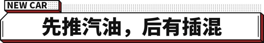 入门即高配！14.37万元起 雪铁龙凡尔赛C5 X开启预售