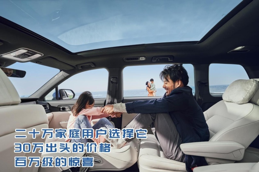 二十万家庭用户选择它，30万出头的价格，百万级的惊喜