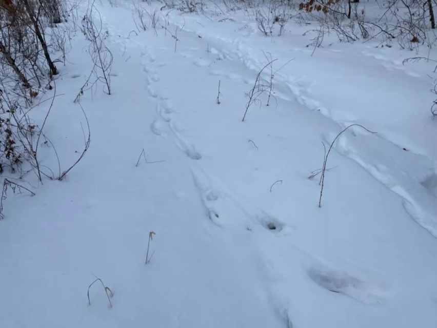 50.22°N、零下27°C里的一场雪地求生