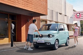 熊猫mini元气熊——超值入手之选！可拓展空间，灵活用车无困扰