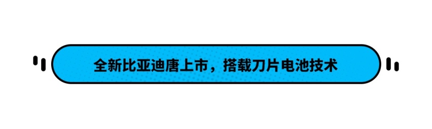 比亚迪旗舰SUV+刀片电池强强联手