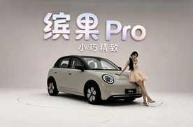 小巧精致 缤果Pro