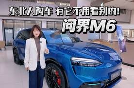 问界M6，东北人购车，有它不用看别的！