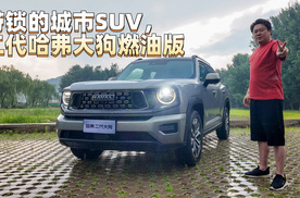 带锁的城市SUV，二代哈弗大狗燃油版