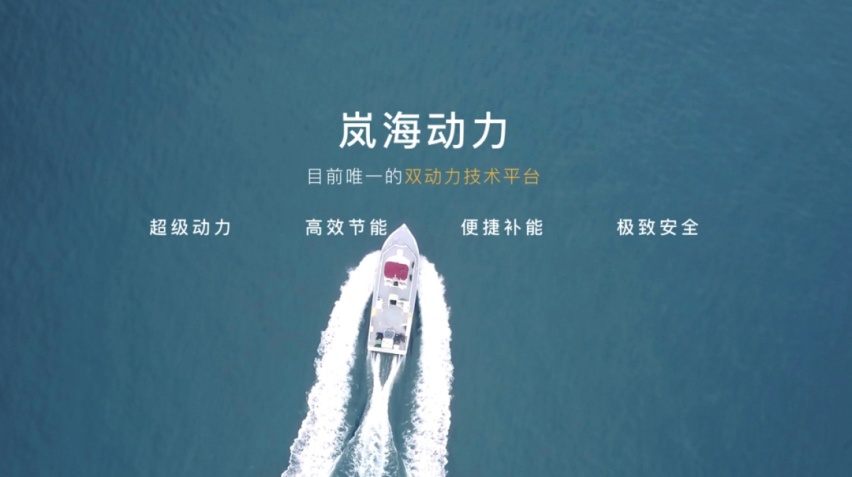 岚图梦想家，如何“背刺”欧美汽车大佬？