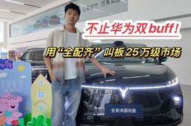 22万级纯电SUV的"满配"答案？全新岚图知音静态体验