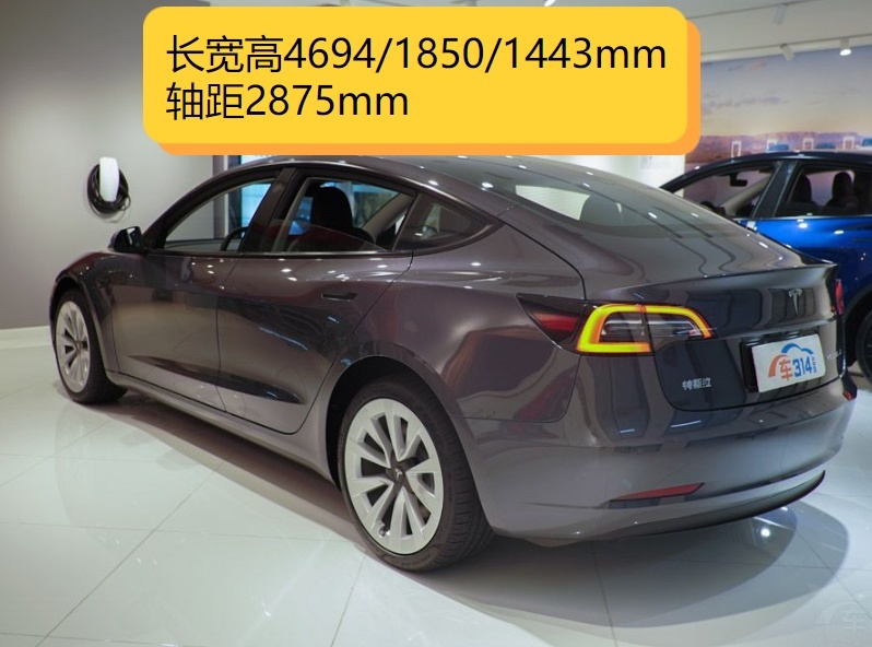 预算20万以上买中型车，Model 3和海豹谁才是首选？